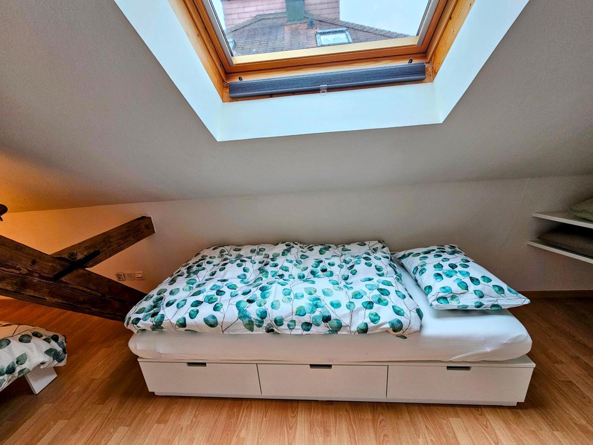 Premium - & Historical Apartment Meiringen