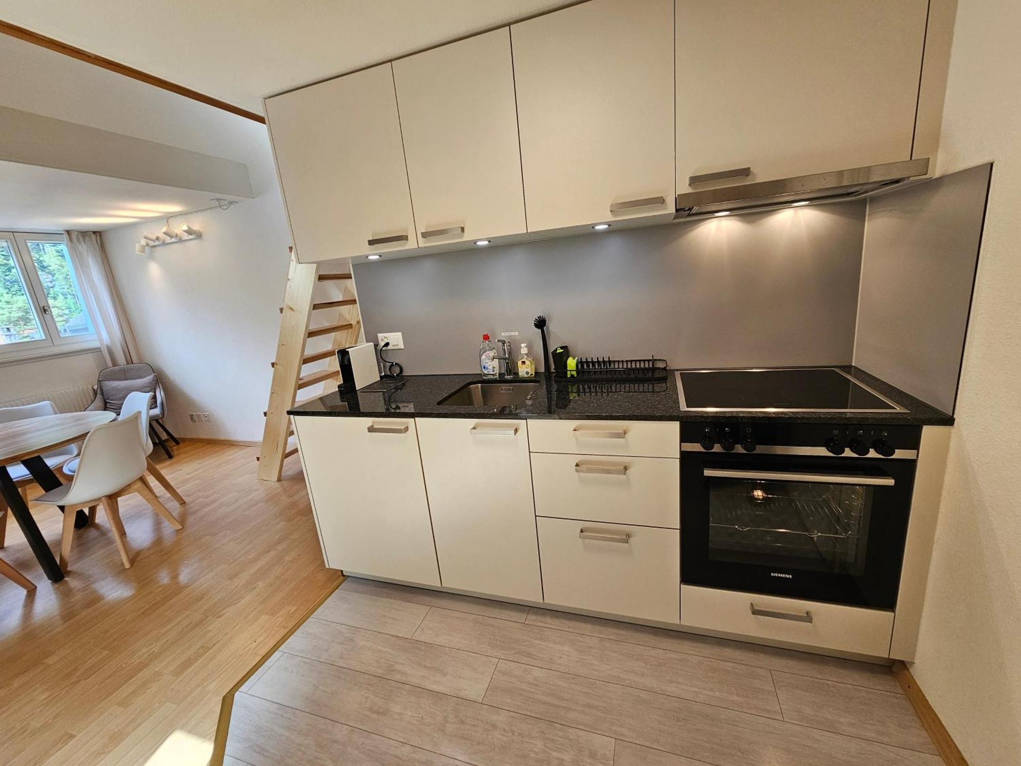 Premium - & Historical Apartamento Meiringen