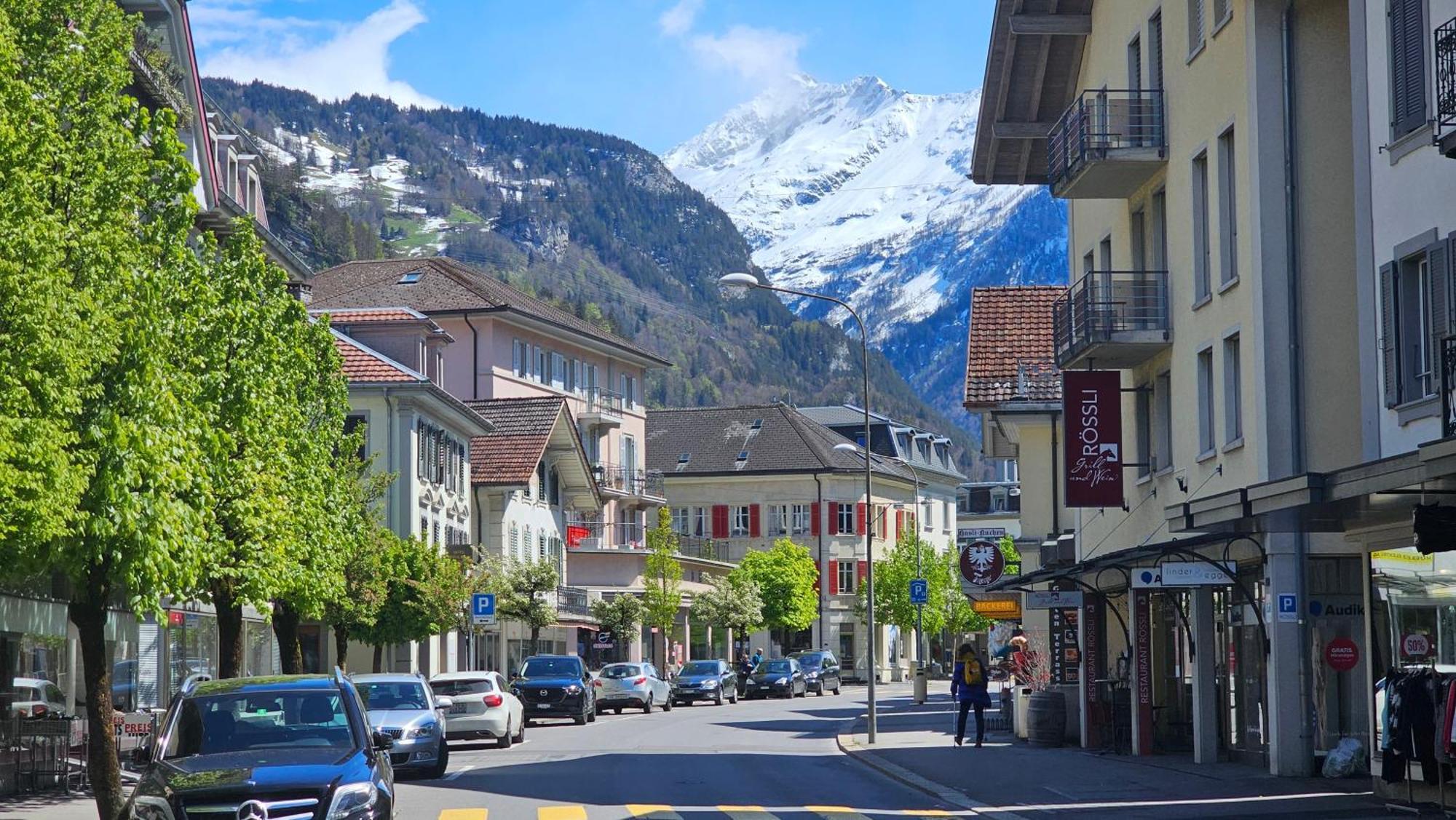 Apartment Premium - & Historical Meiringen