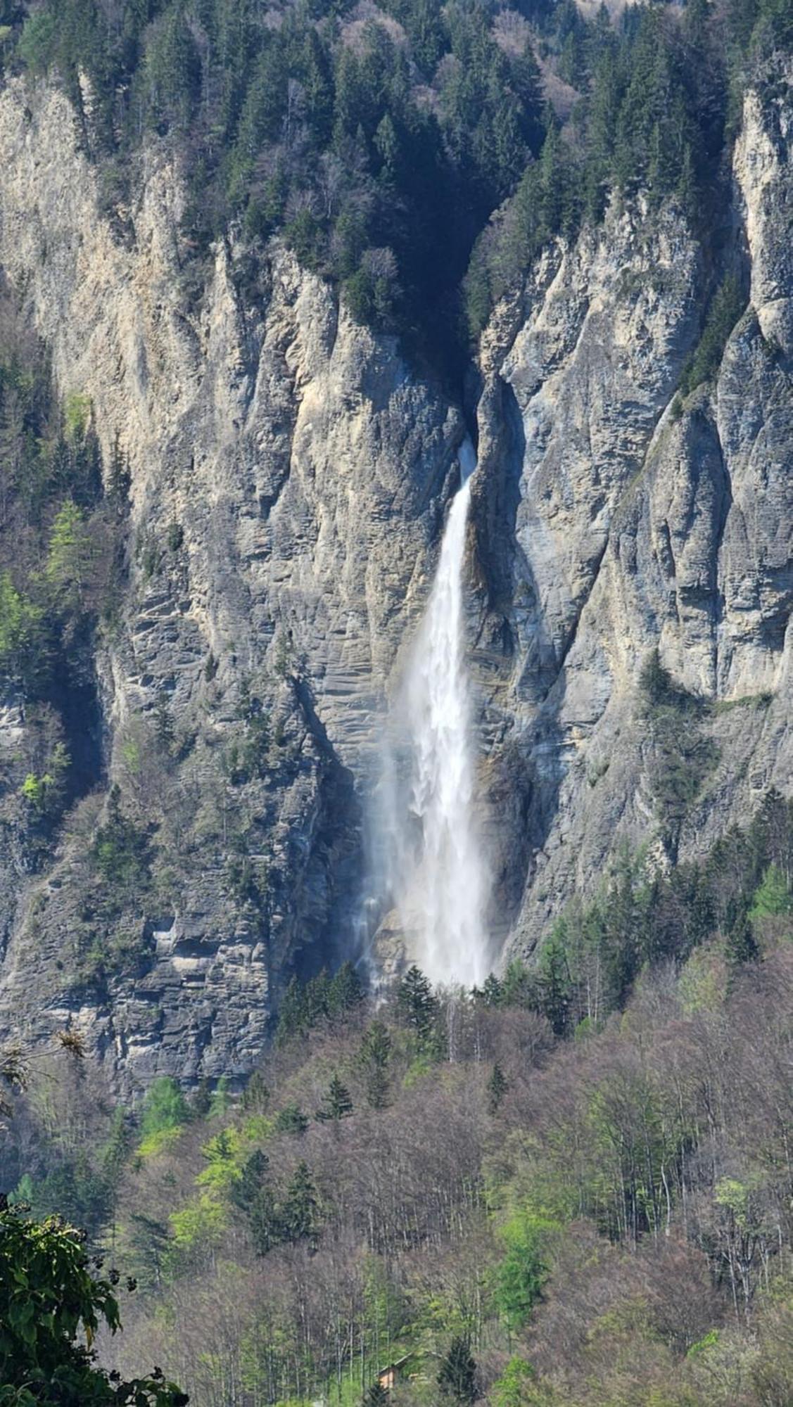 Premium - & Historical Apartment Meiringen
