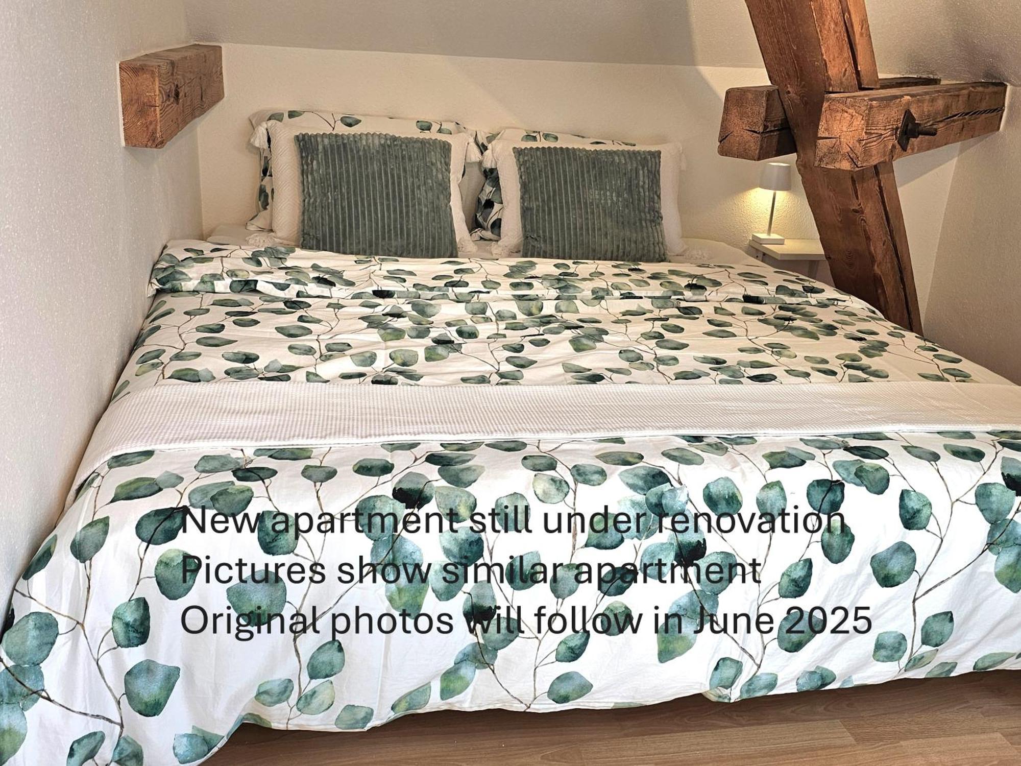 Apartamento Premium - & Historical Meiringen